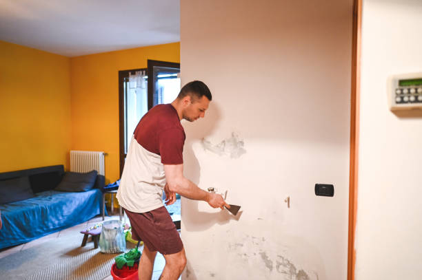 Best Affordable Mold Removal  in Red Hill, SC