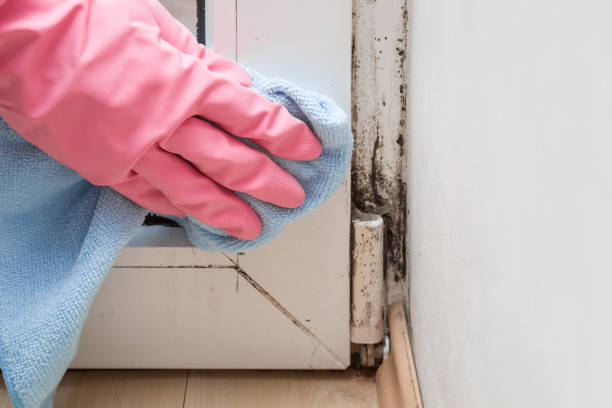 Best Residential Mold Removal  in Red Hill, SC